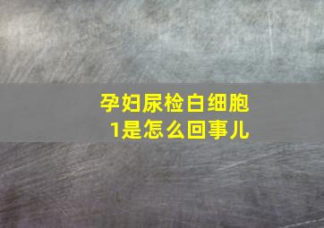 孕妇尿检白细胞 1是怎么回事儿